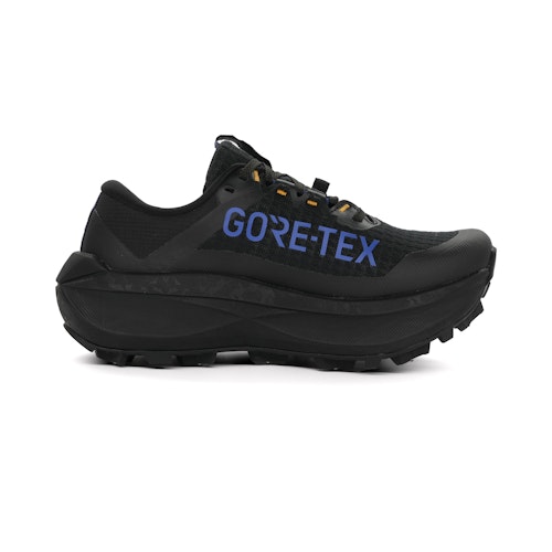 ASICS Fujisetsu Max GTX Men