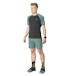 Dynafit Alpine Pro T-shirt Herre Grün