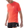 Compressport Pro Racing T-shirt Herren Rot