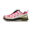 Salomon XA Pro 3D V9 GTX Femme Mehrfarbig