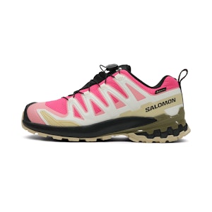 Salomon XA Pro 3D V9 GTX Dame Salomon XA Pro 3D V9 GTX Dame