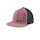 Dynafit Tech Trucker Cap Unisexe Pink