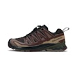 Salomon XA Pro 3D v9 GTX Homme Braun