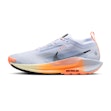 Nike Pegasus Trail 5 GTX Men Mehrfarbig