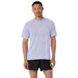 ASICS Road Seamless T-shirt Men Purple