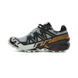 Salomon Speedcross 6 GTX Herr Mehrfarbig