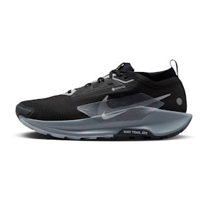 Nike Pegasus Trail 5 GTX Herren Nike Pegasus Trail 5 GTX Herren