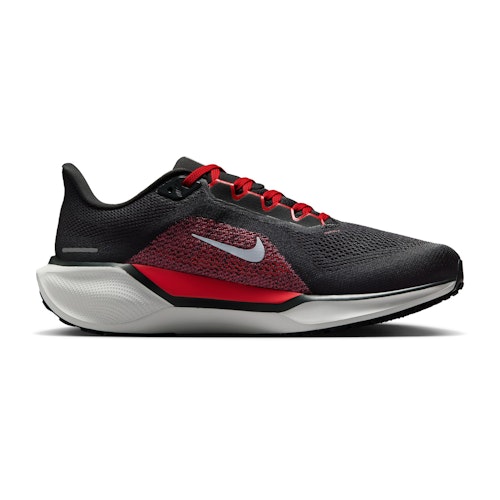 Nike Pegasus 41 (Extra Wide) Men - Main Image
